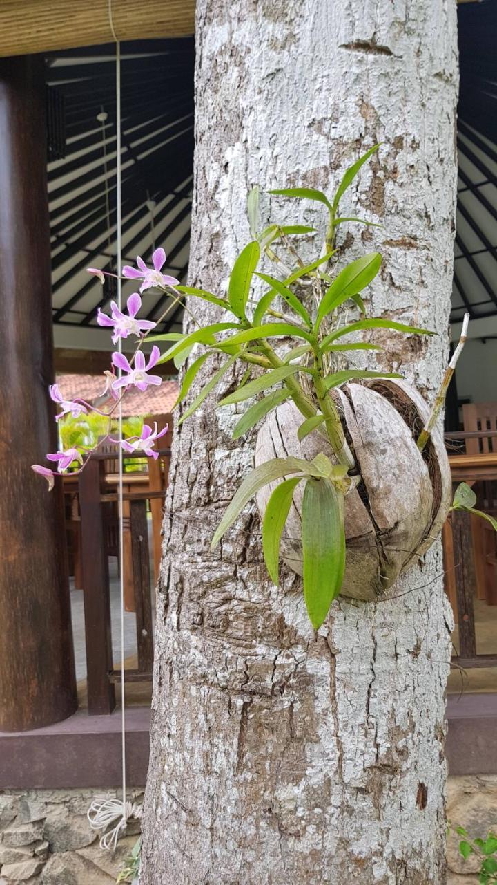 Nature Paradise Villa Balapitiya Exterior photo